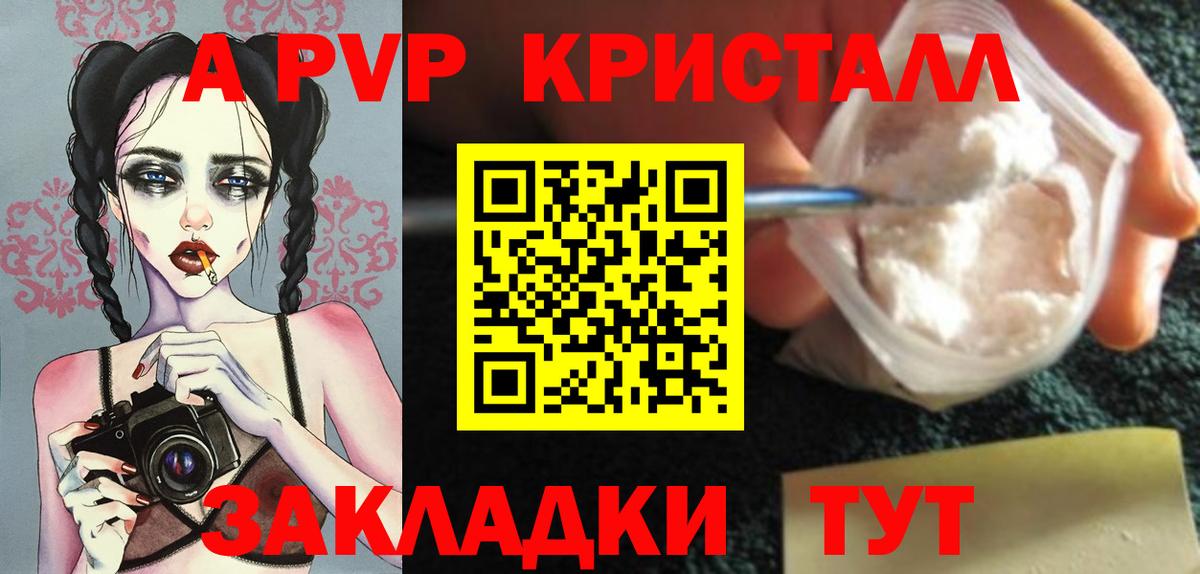 A PVP СК КРИС Альметьевск